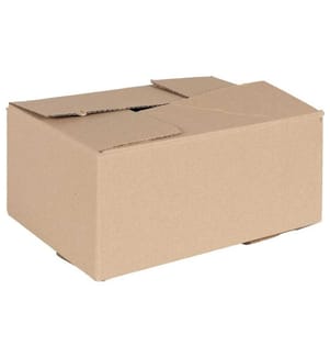 vidaXL Faltbox mit Speicher 50 pcs Natur 30 x 21,5 x 14 cm Karton
