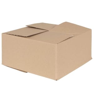 vidaXL Faltbox mit Speicher 50 pcs Natur 30 x 30 x 15 cm Karton