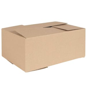 vidaXL Faltbox mit Speicher 50 pcs Natur 35 x 24 x 15 cm Karton