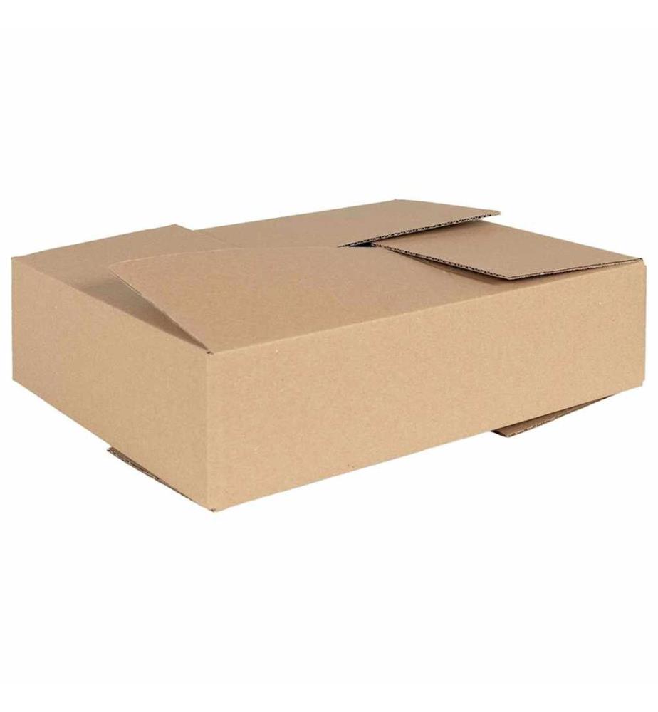 vidaXL Boîte Pliable 50 pcs Naturel 40 x 30 x 10 cm Carton