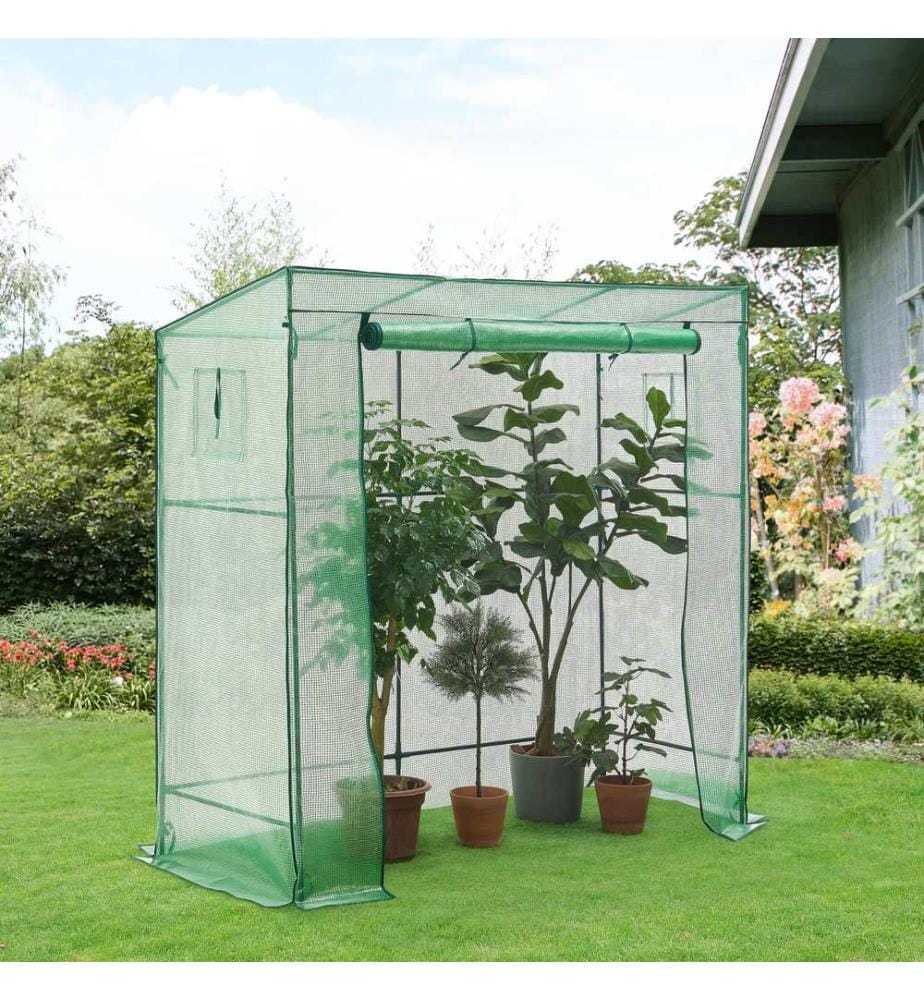 Serre à tomates Vlaardingen 198x78x200 cm Vert