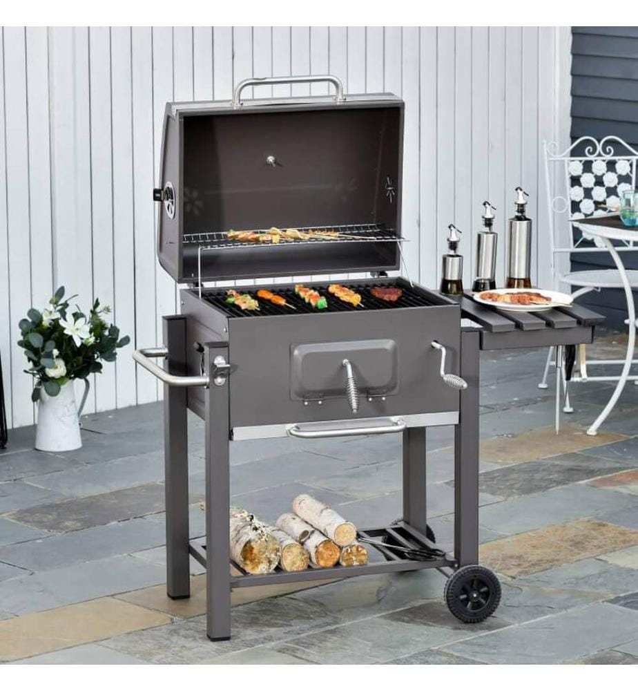 Barbecue au charbon de bois Profi avec grille à charbon réglable et décapsuleur \uD83D\uDE0A
