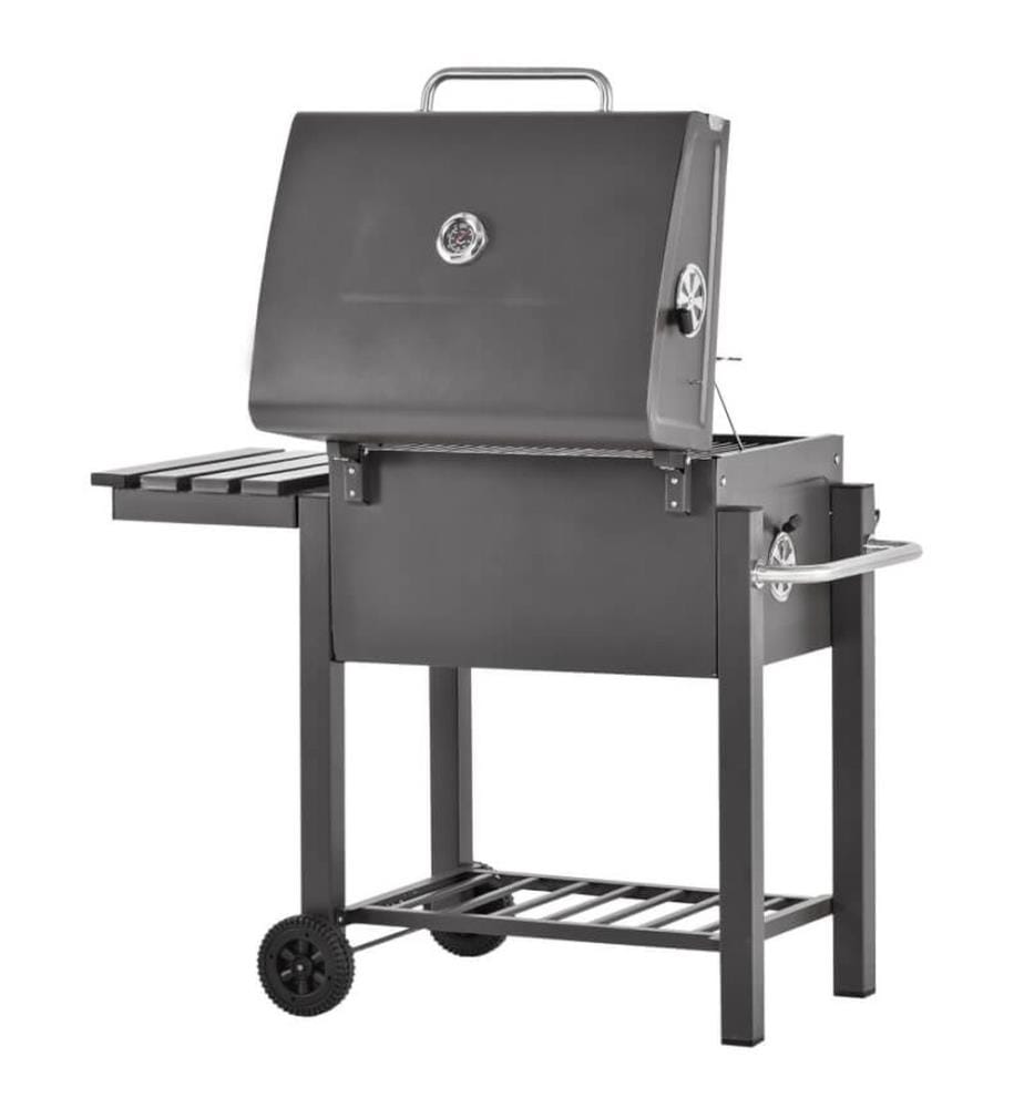 Barbecue au charbon de bois Profi avec grille à charbon réglable et décapsuleur \uD83D\uDE0A