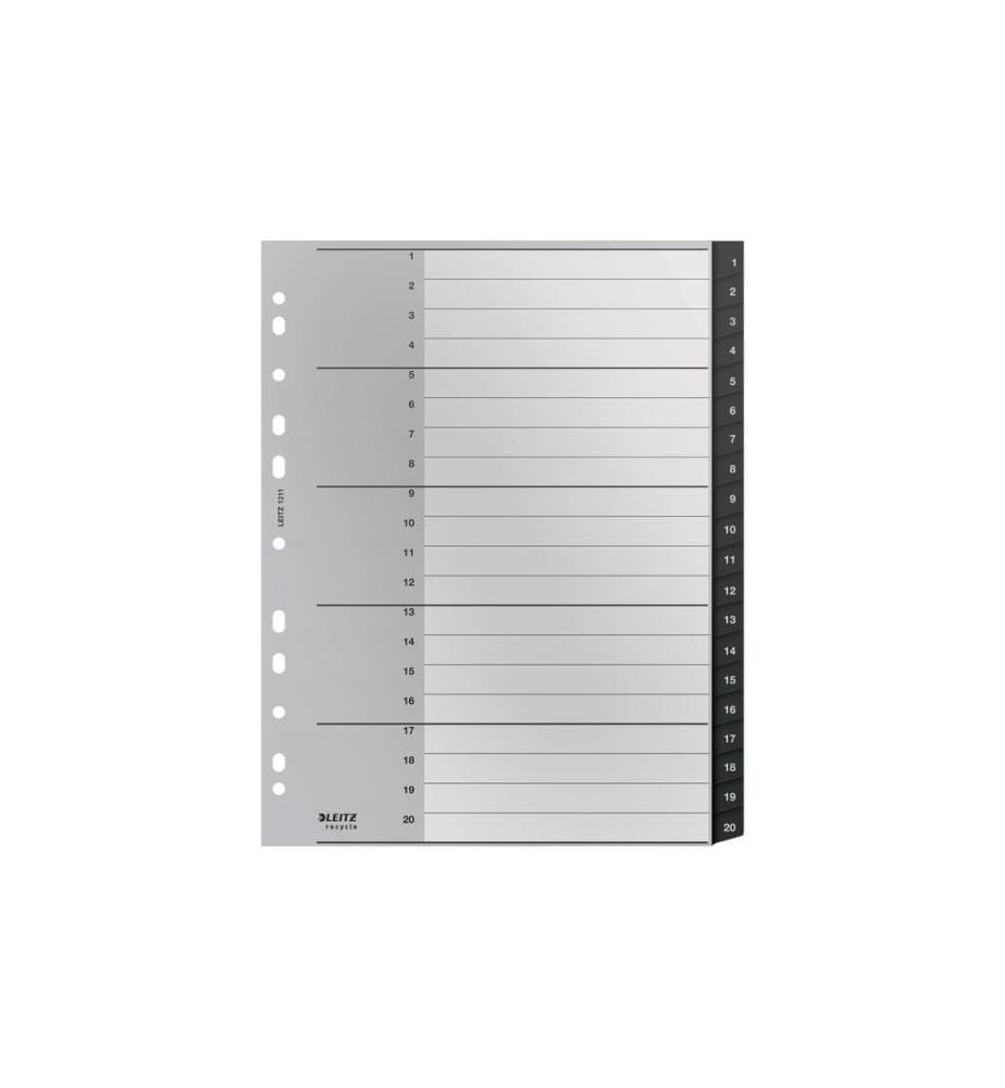 LEITZ - Registre Recycle Répertoire inscriptible sur PC 1-20, A4