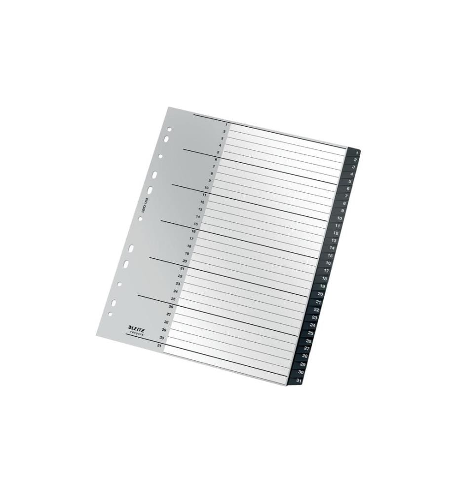 LEITZ - Registre Recycle Répertoire inscriptible sur PC 1-31, A4