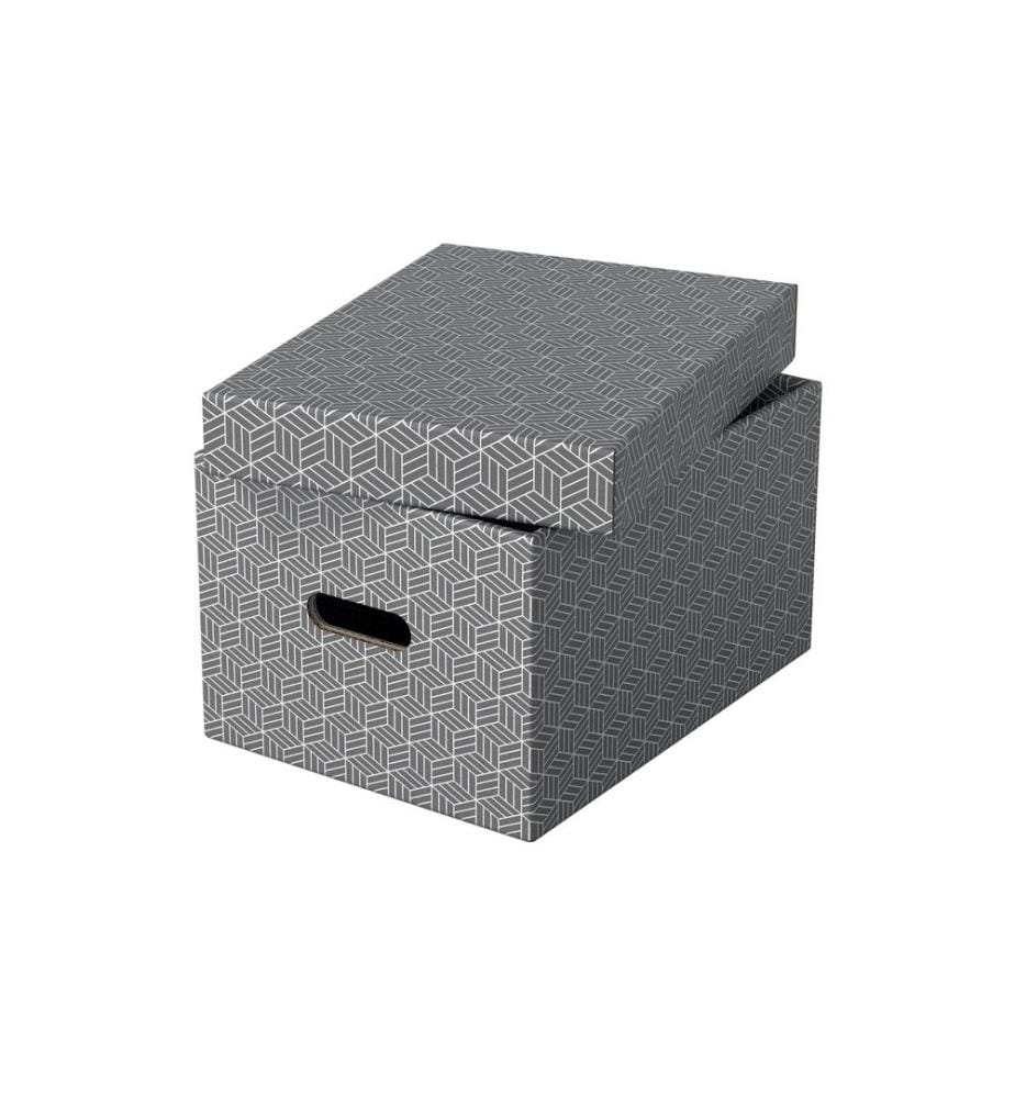 LEITZ - Aufbewahrungsbox Esselte Home M Mittel, 3 Stück, Grau