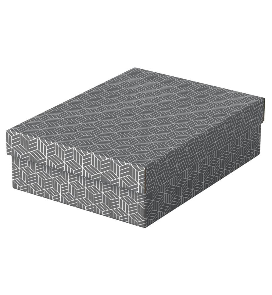 LEITZ - Boîte de rangement Esselte Home M flat Moyen, 3 pièces, Gris