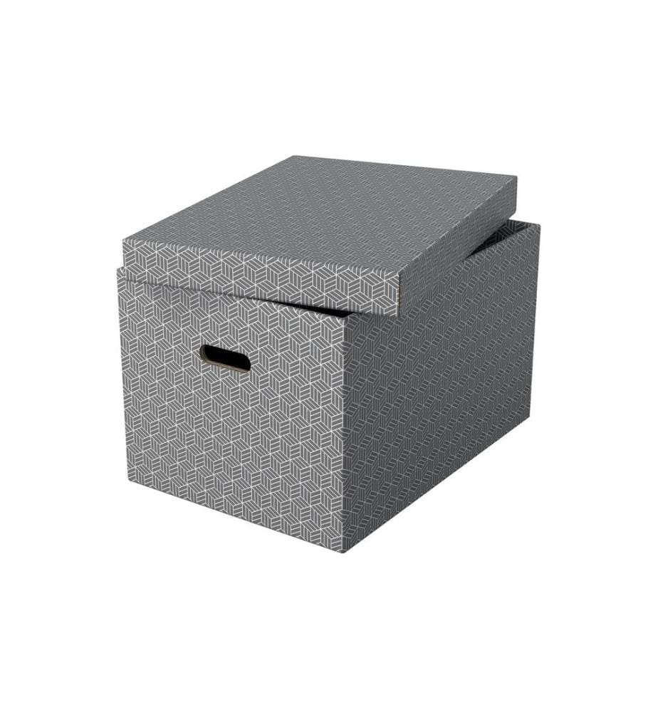 LEITZ - Aufbewahrungsbox Esselte Home L Gross, 3 Stück, Grau