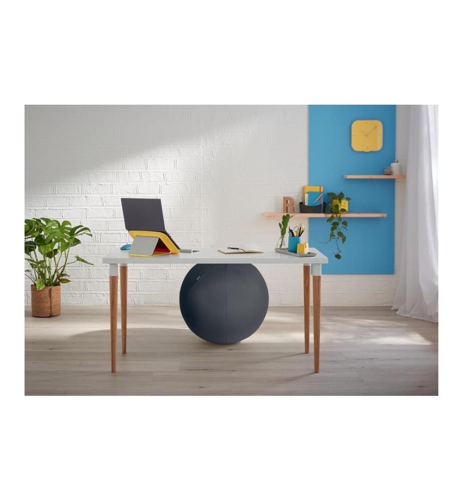 LEITZ - Balle assise Ergo Cosy Gris actif