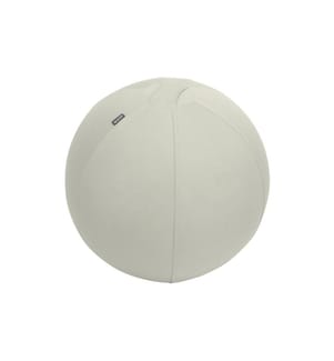 LEITZ - Balle assise Ergo Active 55 cm, Gris clair