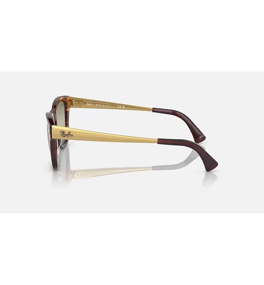 Lunettes de soleil - Polished Striped Havana