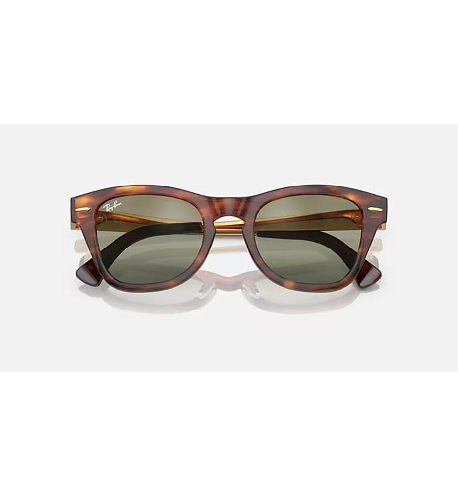 Lunettes de soleil - Polished Striped Havana