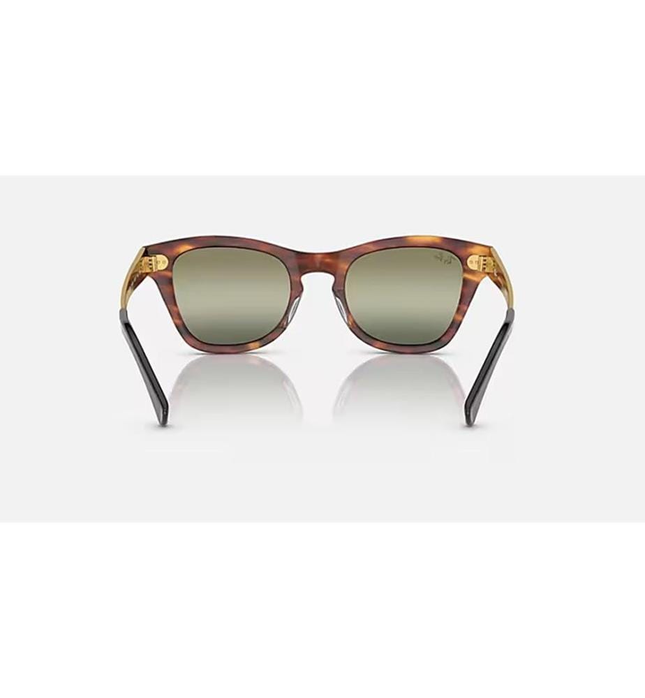 Lunettes de soleil - Polished Striped Havana