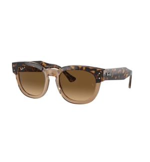 Lunettes de Soleil – Vert/Brun