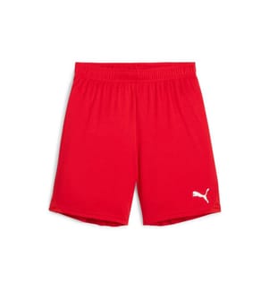 Puma - Shorts teamGOAL Jr 152, Rot