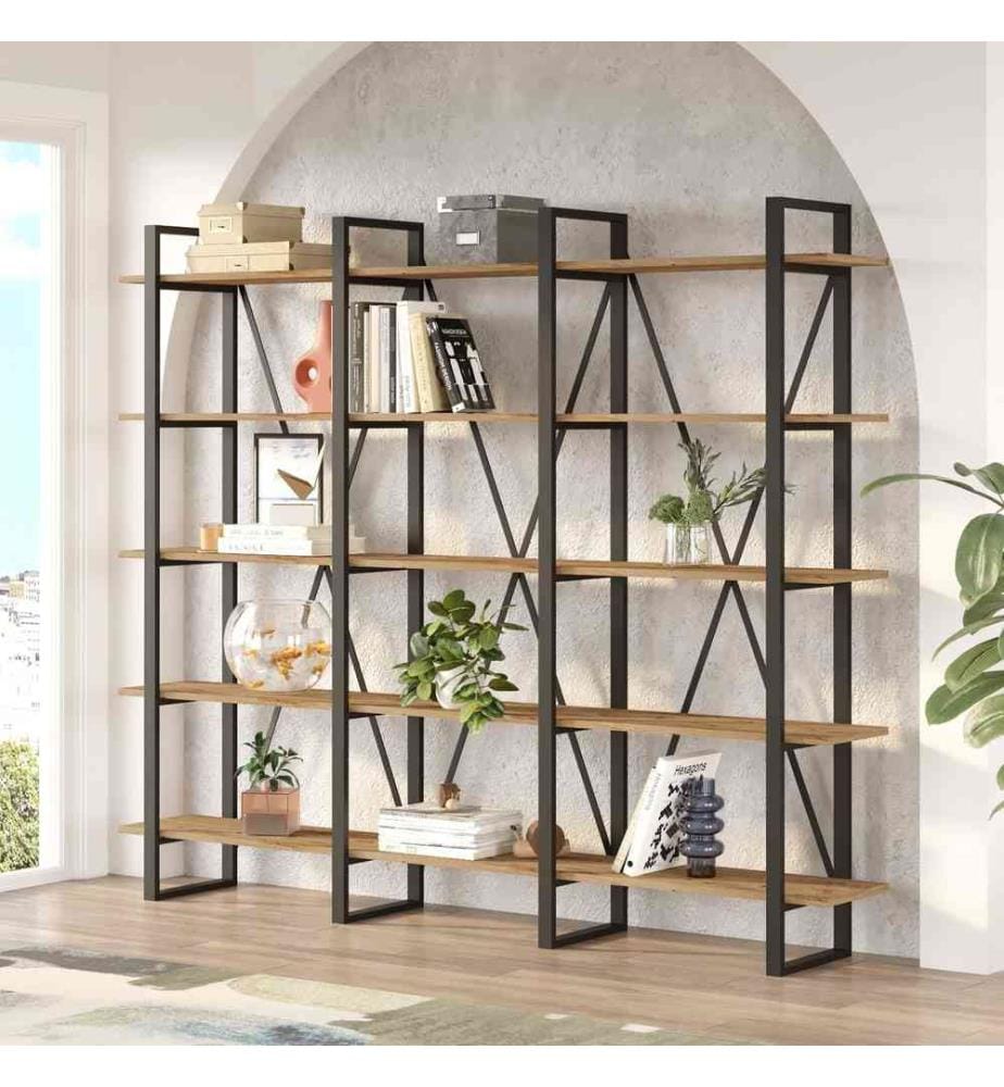Bibliothek - atlantische Kiefer