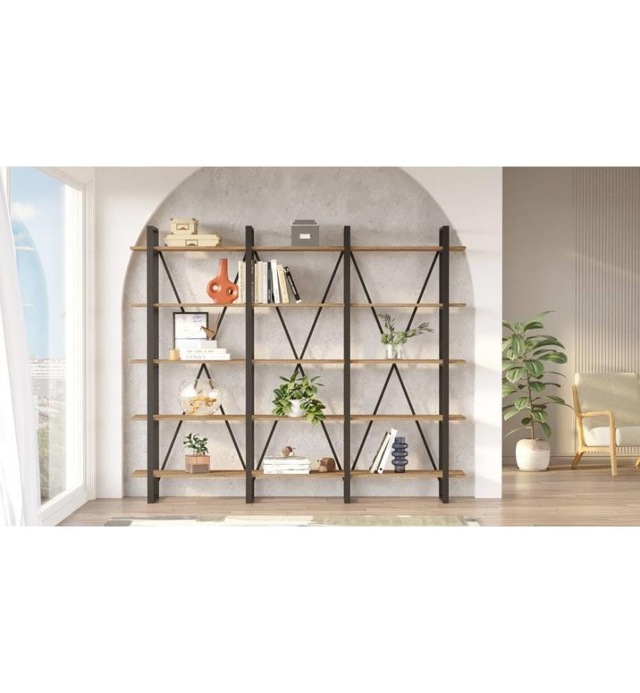 Bibliothek - atlantische Kiefer