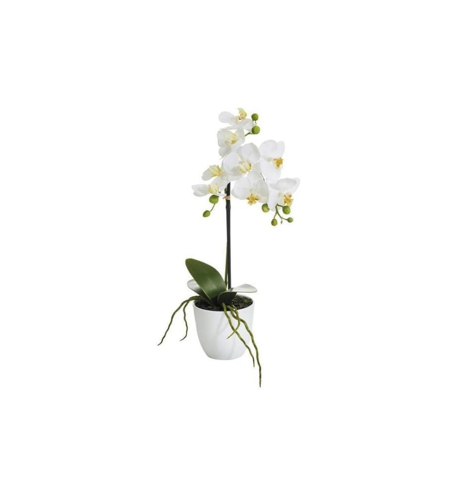 BOTANIC-HAUS - Kunstblume Phalenopsis 1 Rispe im Topf, Weiss