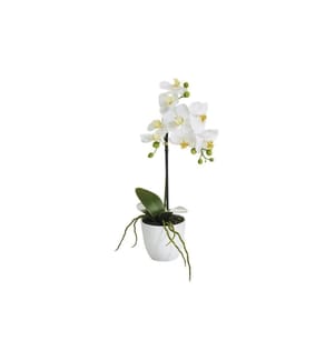 BOTANIC-HAUS - Fleur artificielle Phalenopsis 1 panicule en pot, blanche