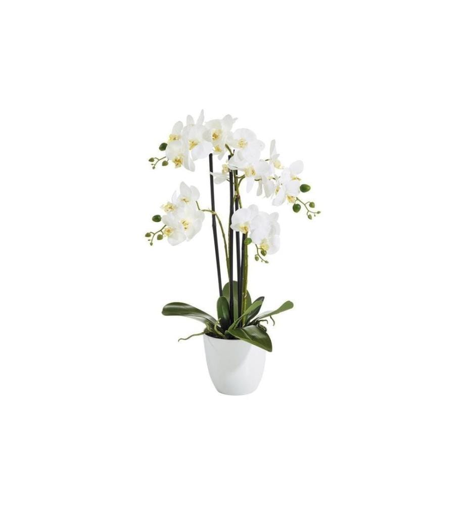 BOTANIC-HAUS - Kunstblume Phalenopsis  im Topf, 4 Rispen, Weiss
