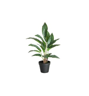 BOTANIC-HAUS - Plante artificielle Kalathéa 46 cm