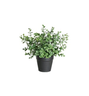 BOTANIC-HAUS - Plante artificielle Eucalyptus 21 cm