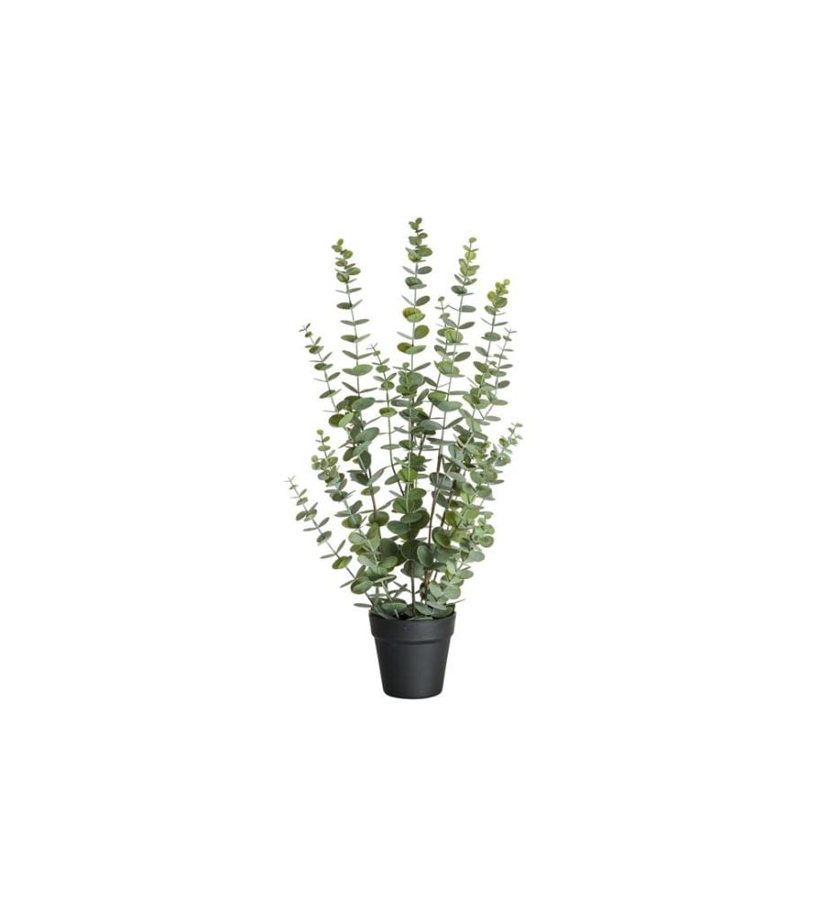BOTANIC-HAUS - Kunstpflanze Eukalyptus 76 cm