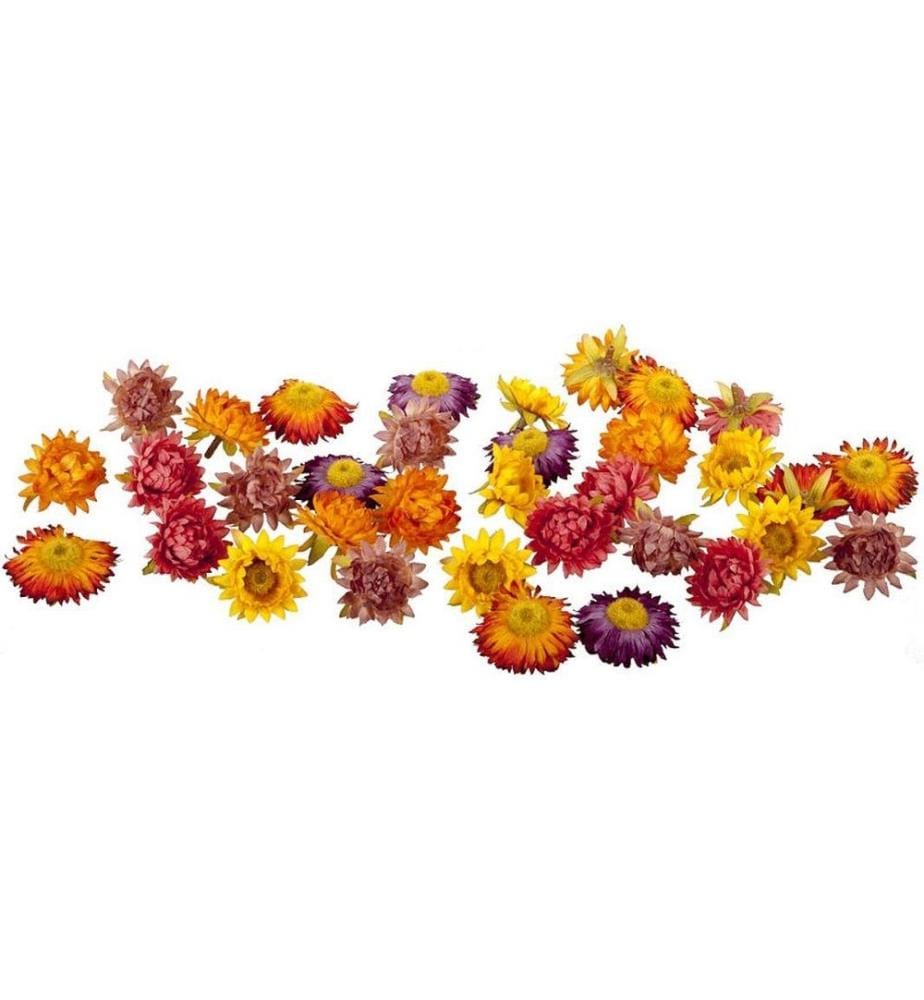 DEKOMAT AG - Kunstblume Strohblüten 36 Stück, Herbstfarben