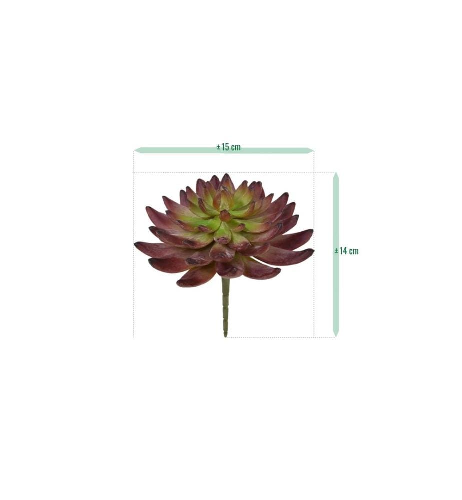 BOTANIC-HAUS - Kunstpflanze Echeveria Kaktus 14 cm