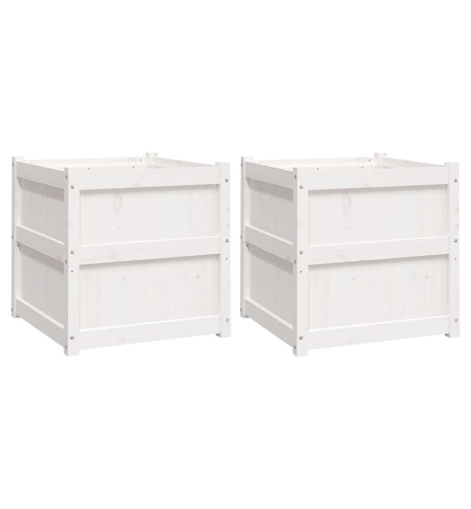Jardinières 2 pcs blanc bois de pin massif
