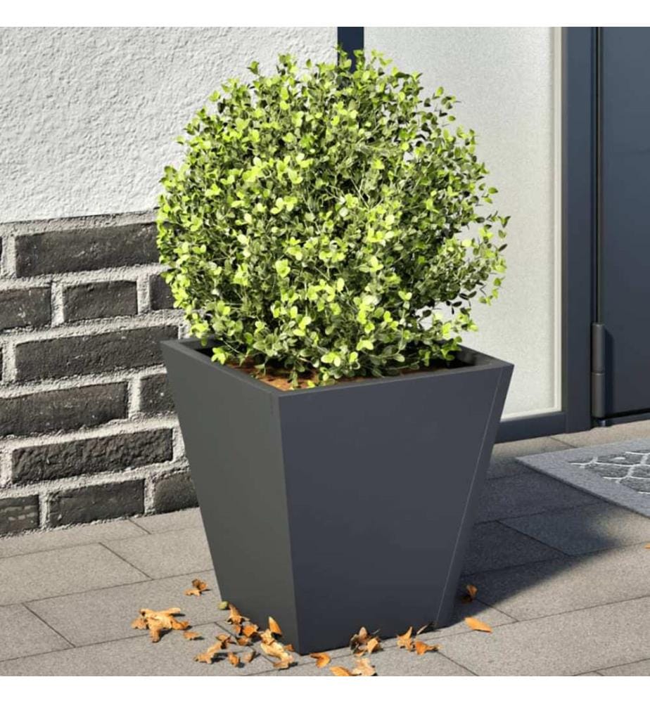 vidaXL Jardinières 2 pcs anthracite 30x30x30 cm acier