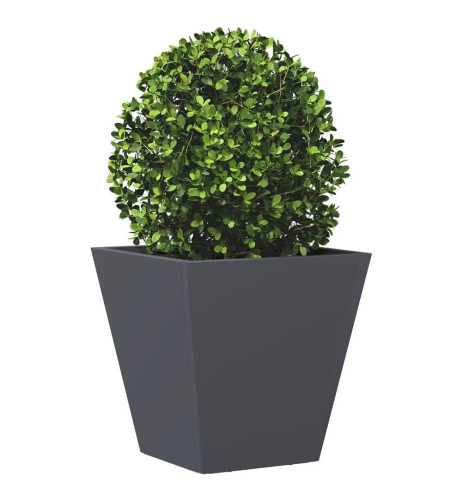 vidaXL Jardinières 2 pcs anthracite 30x30x30 cm acier