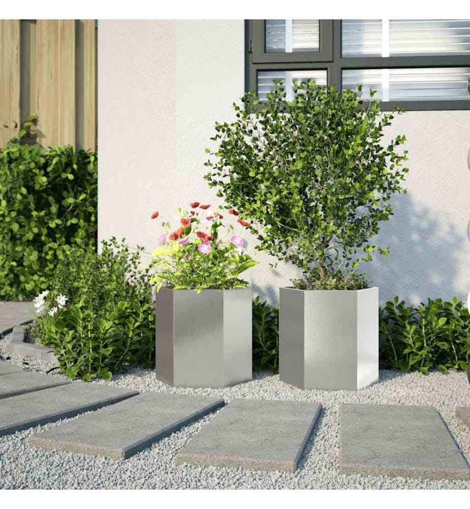 vidaXL Jardinières 2 pcs hexagone 46x40x45 cm acier inoxydable