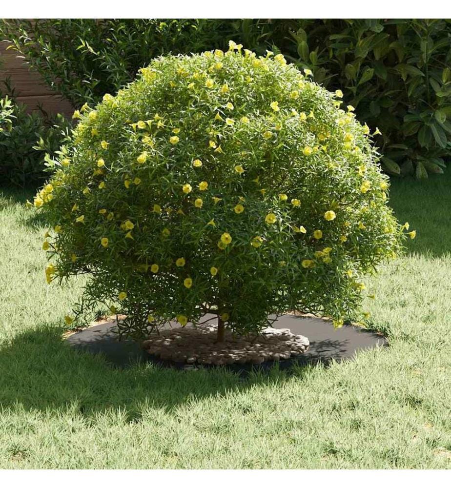 vidaXL adapté pour anneau d'arbre plat Noir Ø30 / 60 cm Acier