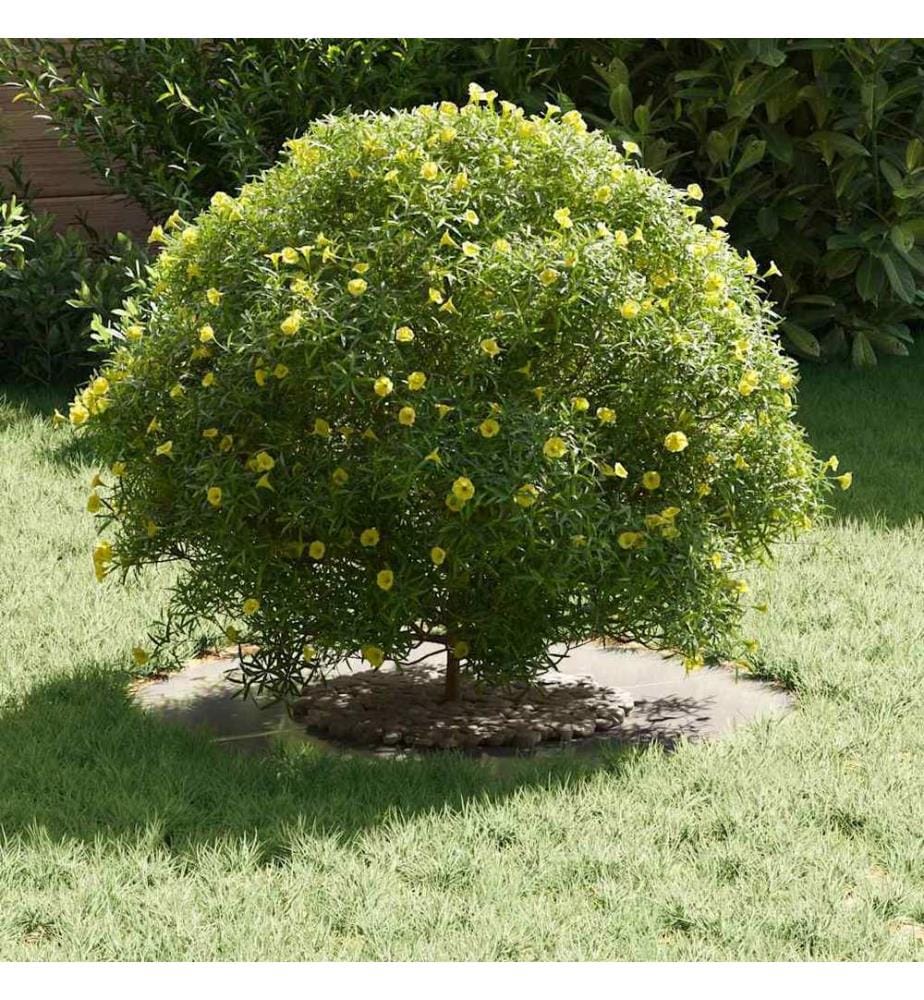 vidaXL adapté pour anneau d'arbre plat Argent Ø30 / 60 cm