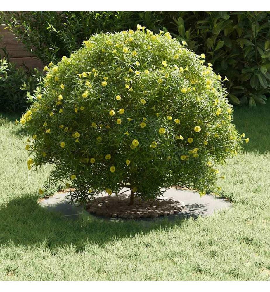 vidaXL adapté pour anneaux d'arbre plats 5 pcs Argent Ø30 / 60 cm