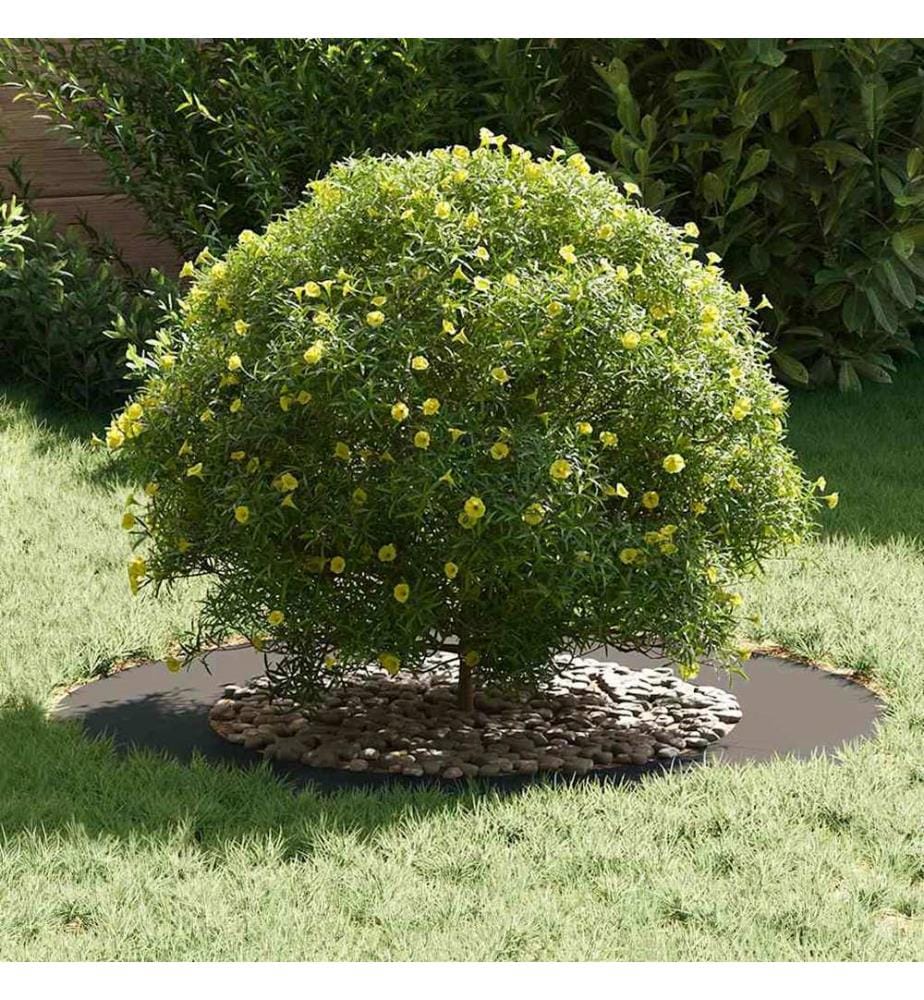 vidaXL adapté pour anneau d'arbre plat Noir Ø50 / 80 cm Acier