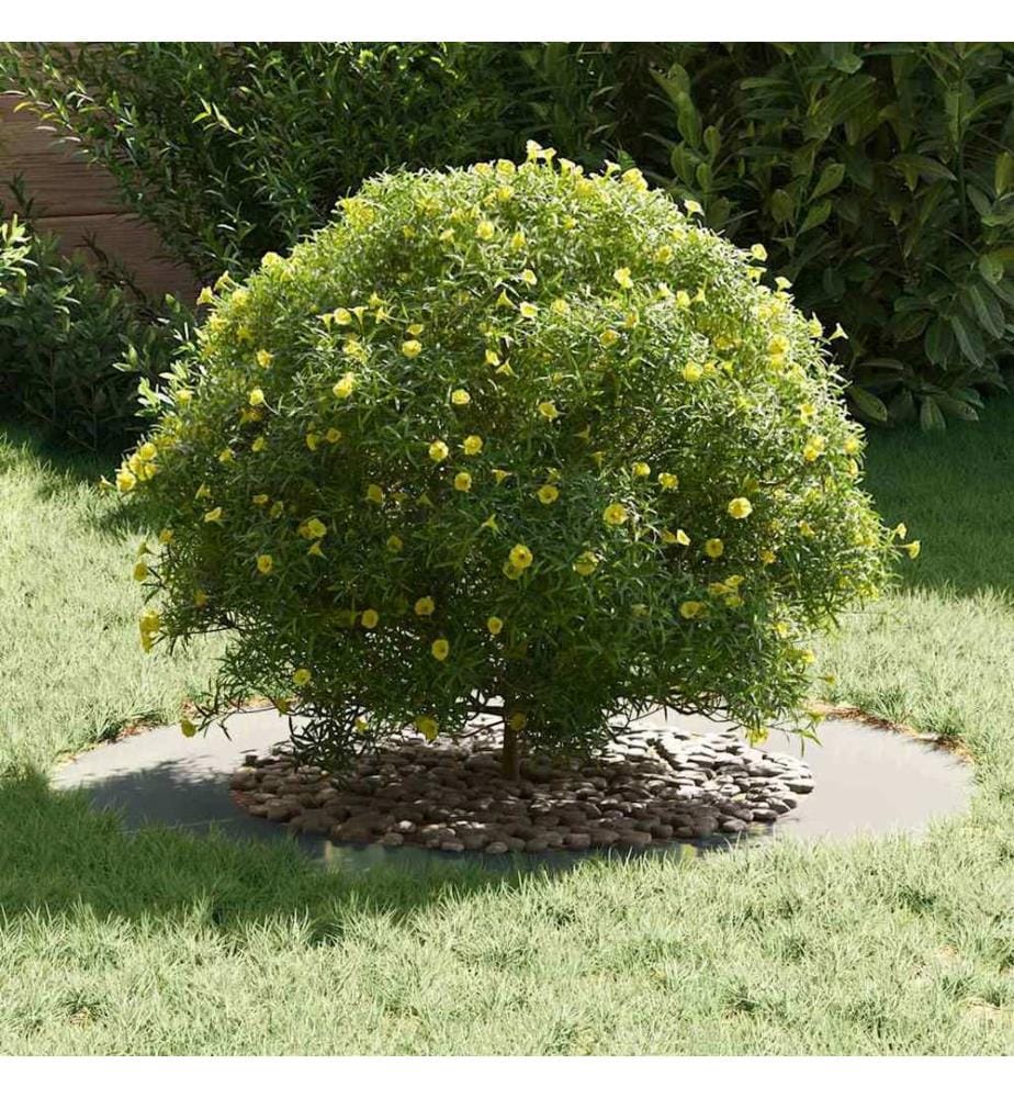 vidaXL adapté pour anneaux d'arbre plats 5 pcs Argent Ø50 / 80 cm