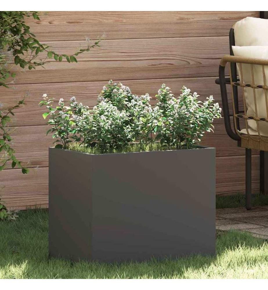 vidaXL Cache-pot de jardin Noir 50 x 32 x 40 cm Acier laminé à froid