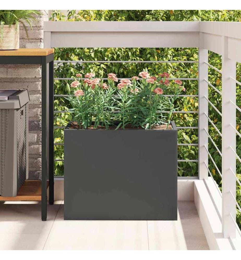 vidaXL Cache-pot de jardin Noir 50 x 32 x 40 cm Acier laminé à froid