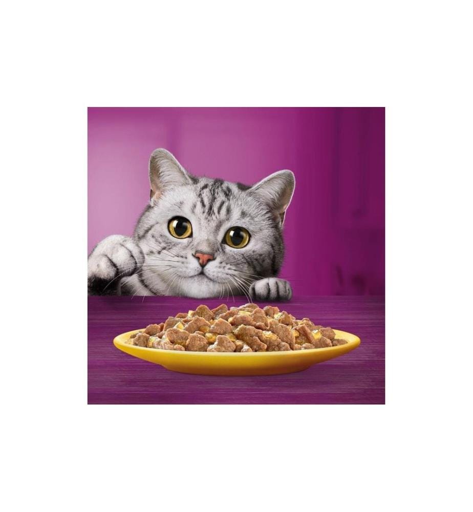 WHISKAS - 1+ Volaille Sélection de 4 variétés en gelée 80 x 85 g