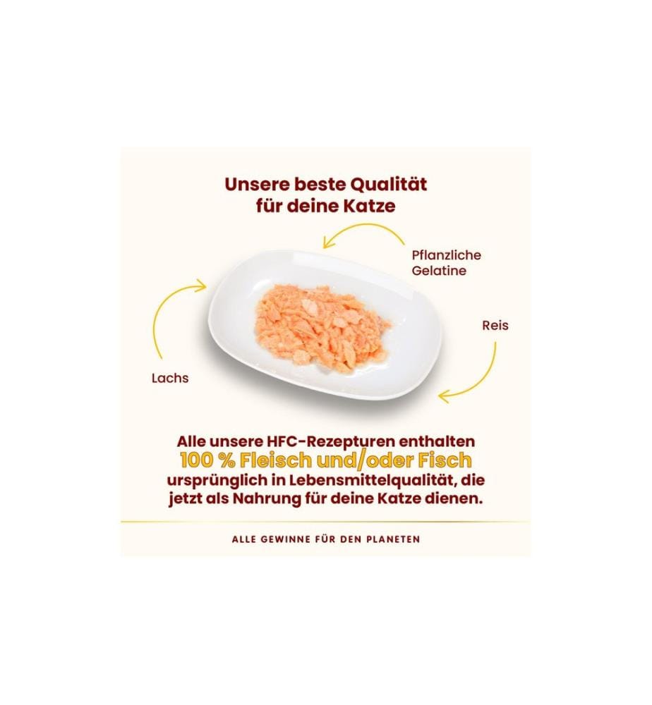 Almo Nature Nassfutter HFC Jelly Cat Lachs 70 g