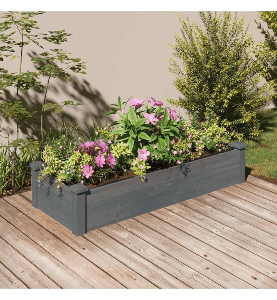 Hochbeet mit Einsatz Grau 120x45x25 cm Massivholz Tanne