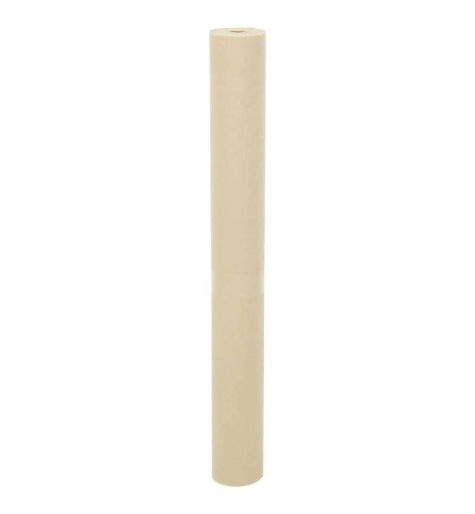Wintervlies 70 g/m² 10x1,6 m