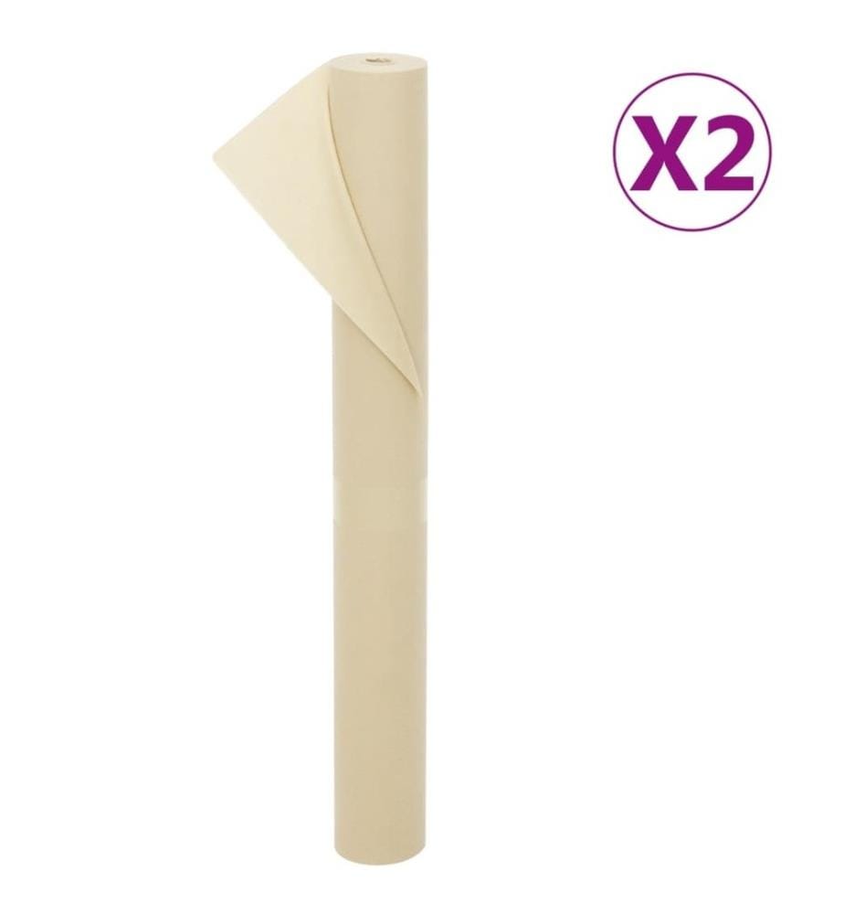 Wintervlies 2 Rollen 70 g/m² 10x1,6 m