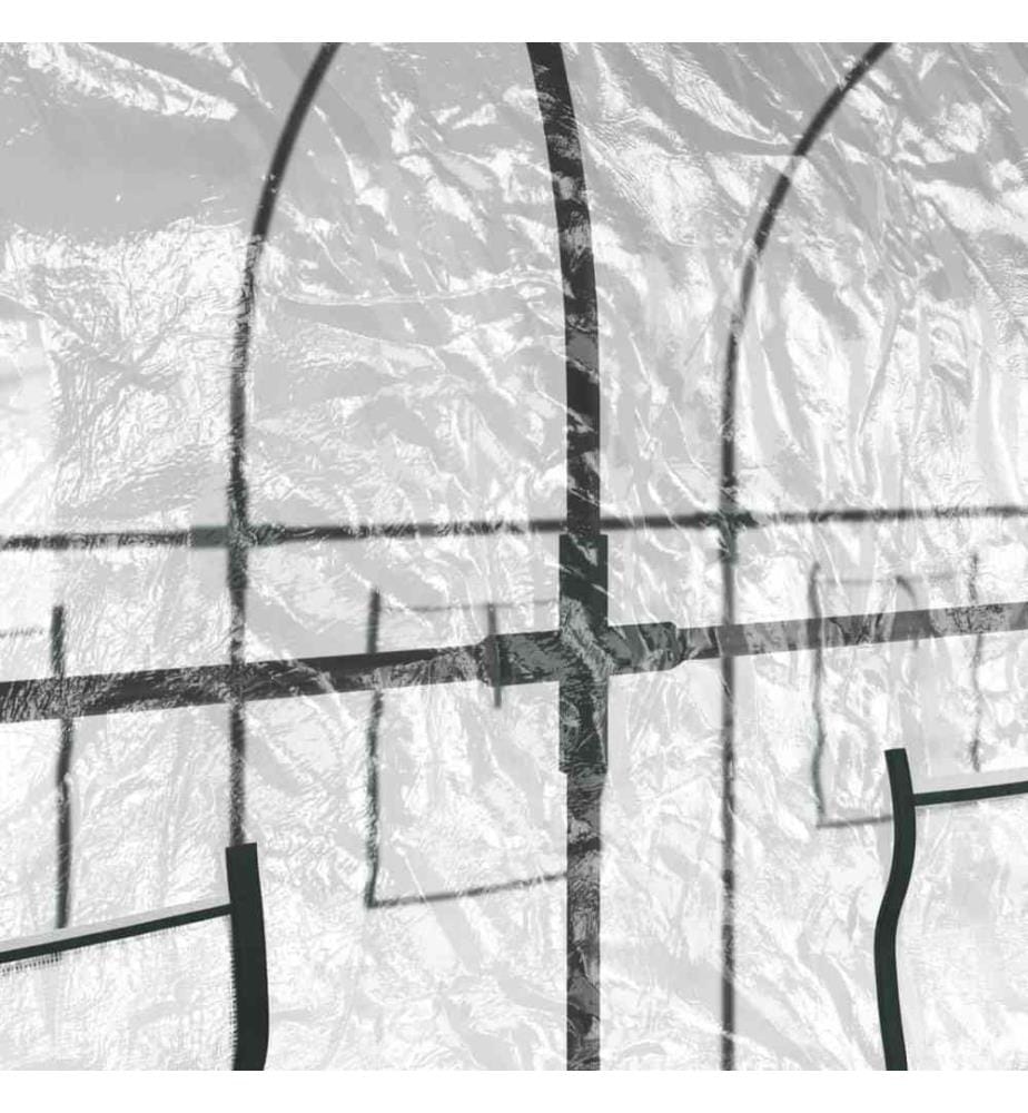 Gewächshaus Transparent 160x400x190 cm PVC & Stahl