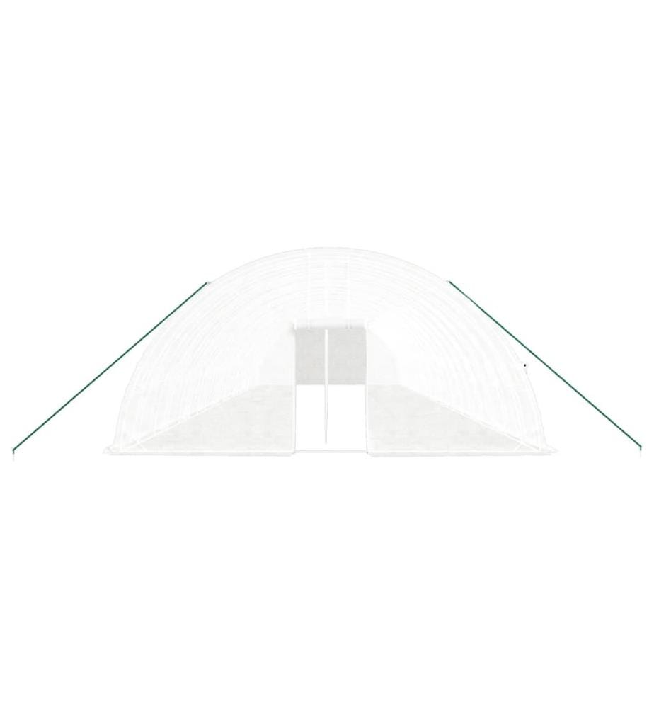 Gewächshaus mit Stahlrahmen Weiss 120 m² 20x6x2,85 m