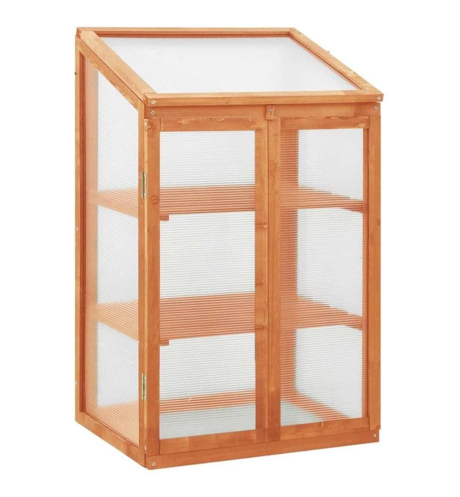 Gewächshaus 60x45x100 cm Tannenholz