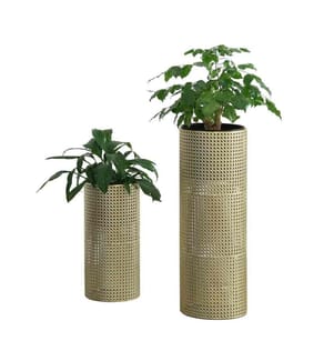 Supports à plantes Lüttich Set de 2 pièces Noir Doré