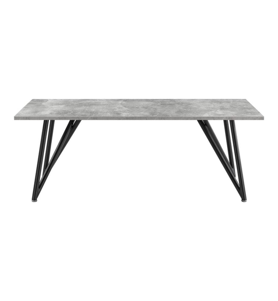 Couchtisch Säter 120 x 60 x 45 cm Betonoptik